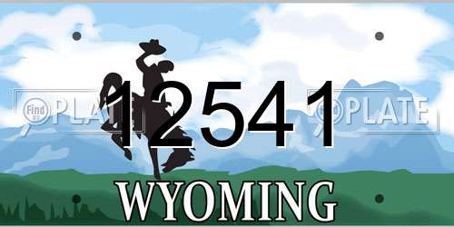 12541 Wyoming License Plate