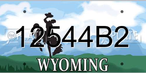 12544B2 Wyoming License Plate