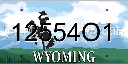12554O1 Wyoming License Plate