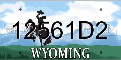12561D2 Wyoming License Plate