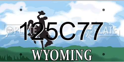 125C77 Wyoming License Plate