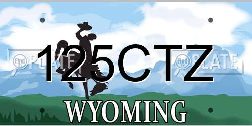 125CTZ Wyoming License Plate