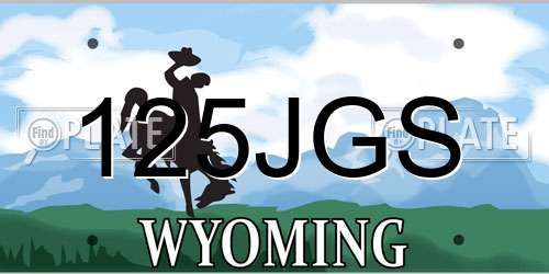 125JGS Wyoming License Plate