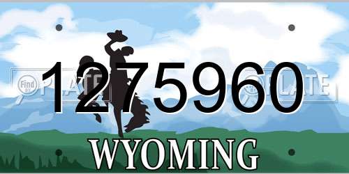 1275960 Wyoming License Plate