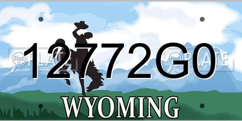 12772G0 Wyoming License Plate