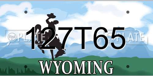 127T65 Wyoming License Plate