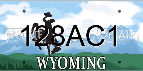 128AC1 Wyoming License Plate