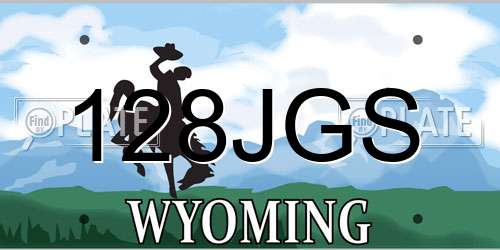128JGS Wyoming License Plate
