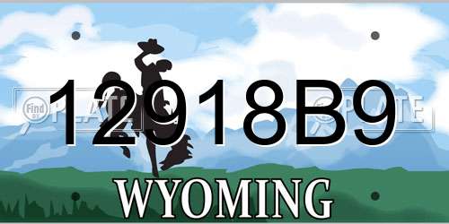 12918B9 Wyoming License Plate