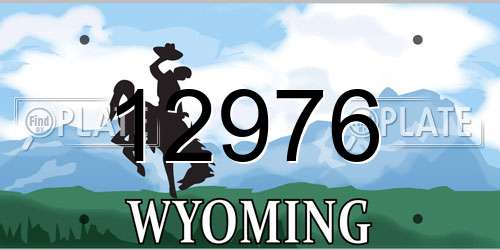 12976 Wyoming License Plate