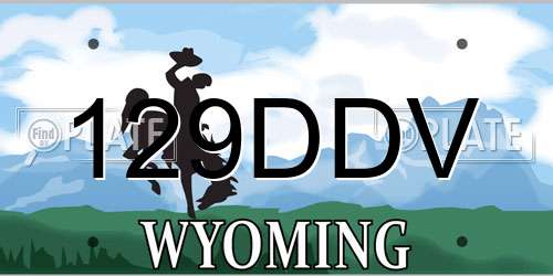 129DDV Wyoming License Plate