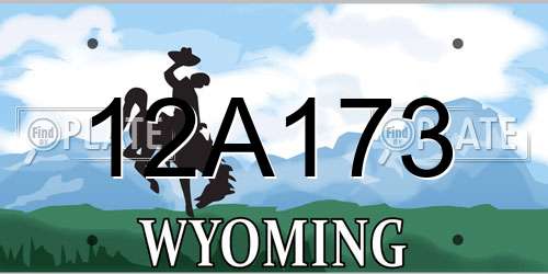 12A173 Wyoming License Plate