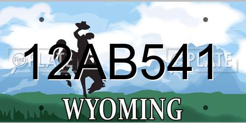 12AB541 Wyoming License Plate