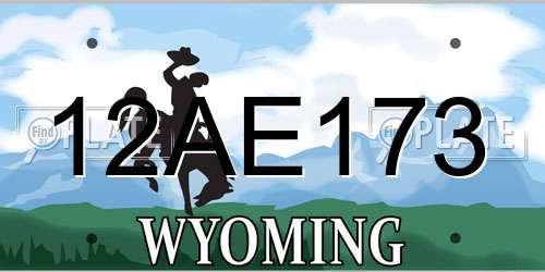 12AE173 Wyoming License Plate