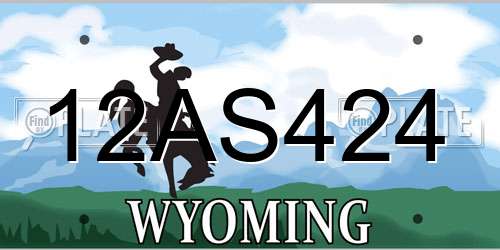 12AS424 Wyoming License Plate