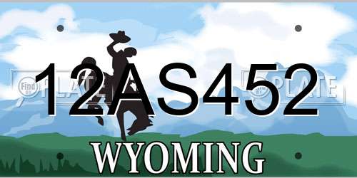 12AS452 Wyoming License Plate
