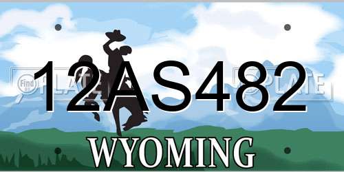 12AS482 Wyoming License Plate