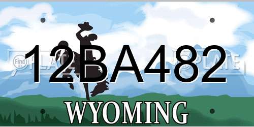 12BA482 Wyoming License Plate