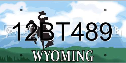 12BT489 Wyoming License Plate