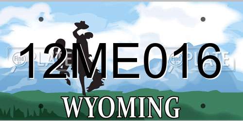 12ME016 Wyoming License Plate