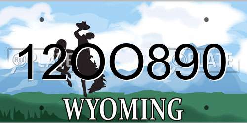 12OO890 Wyoming License Plate