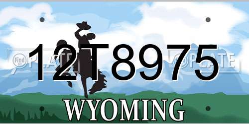 12T8975 Wyoming License Plate