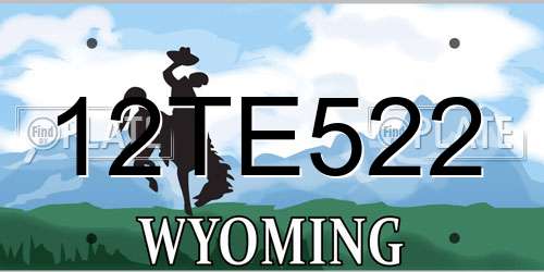 12TE522 Wyoming License Plate