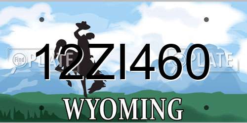 12ZI460 Wyoming License Plate