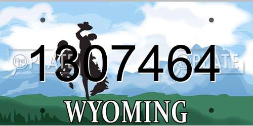 1307464 Wyoming License Plate