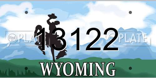 13122 Wyoming License Plate