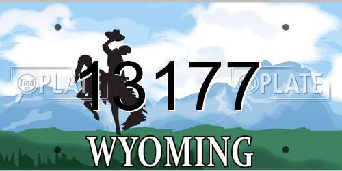 13177 Wyoming License Plate