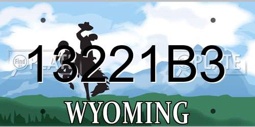13221B3 Wyoming License Plate