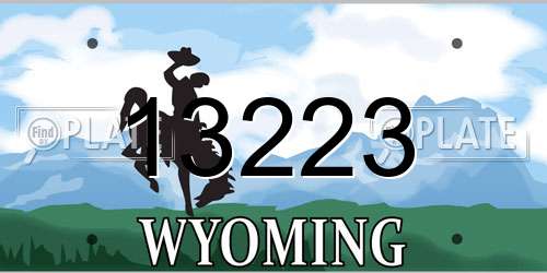 13223 Wyoming License Plate
