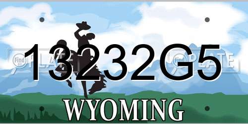 13232G5 Wyoming License Plate