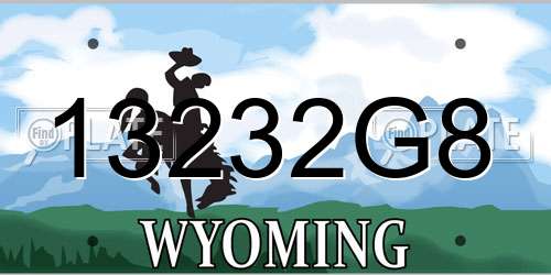 13232G8 Wyoming License Plate