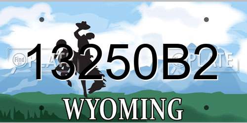 13250B2 Wyoming License Plate