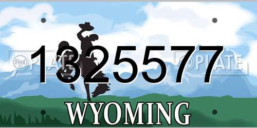 1325577 Wyoming License Plate