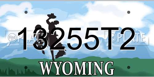 13255T2 Wyoming License Plate