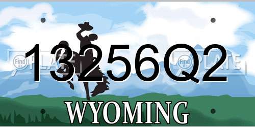 13256Q2 Wyoming License Plate