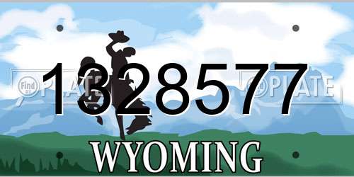 1328577 Wyoming License Plate