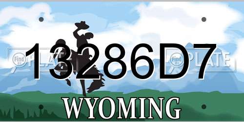 13286D7 Wyoming License Plate