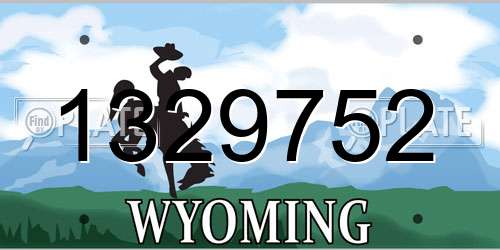 1329752 Wyoming License Plate