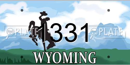 1331 Wyoming License Plate