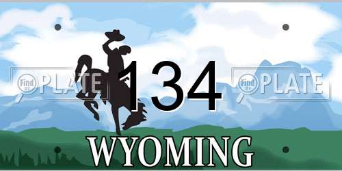 134 Wyoming License Plate