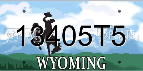 13405T5 Wyoming License Plate
