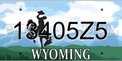 13405Z5 Wyoming License Plate