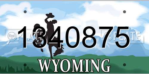 1340875 Wyoming License Plate