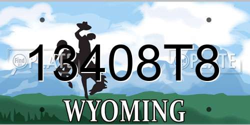 13408T8 Wyoming License Plate
