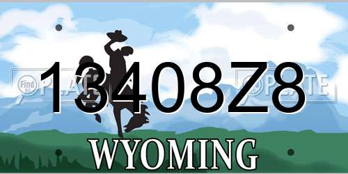 13408Z8 Wyoming License Plate