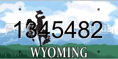 1345482 Wyoming License Plate
